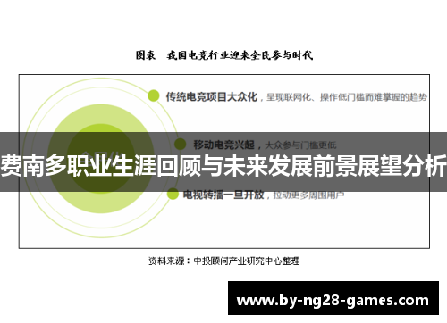 费南多职业生涯回顾与未来发展前景展望分析
