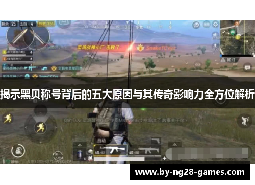 揭示黑贝称号背后的五大原因与其传奇影响力全方位解析 揭示黑贝称号背后的五大原因与其传奇影响力全方位解析